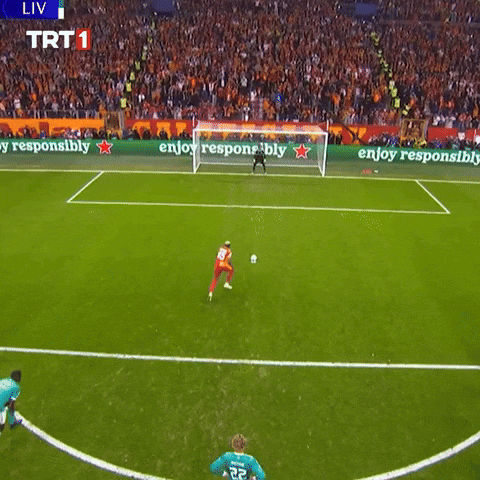 Galatasaray Gs GIF by TRT