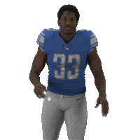 National Football League Sticker by Detroit Lions