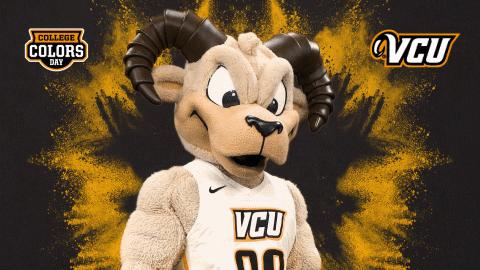 College Sports Smh GIF by College Colors Day