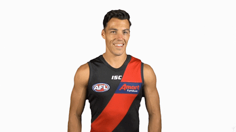 essendonfc giphyupload dons bombers essendon GIF