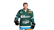 SteelersBietigheim eishockey steelers del scb Sticker