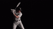 University Of Louisville Baseball GIF by Louisville Cardinals