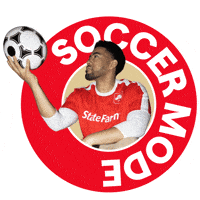 World Cup Soccer GIF by State Farm