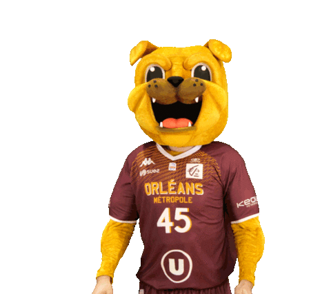 Orleansloiretbasket Sticker by OLB