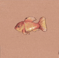 Fish Evolve GIF by sophiaqin
