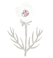 Illustration Flower Sticker