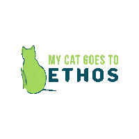 Cats Veg Sticker by Ethos Vet Health