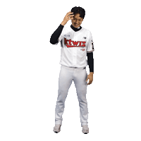 Baseball Sticker by kt wiz