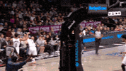 GIF by NBA