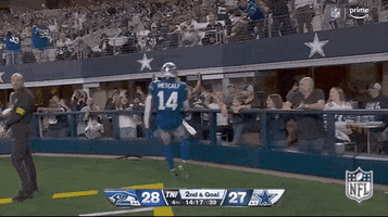 National Football League GIF by NFL