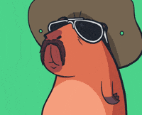 Cappys wow omg nft fat GIF
