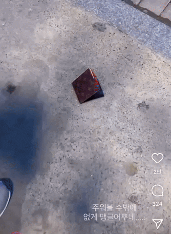 insight1 giphyupload GIF