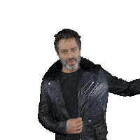 Ari Borovoy Sticker by BOBO