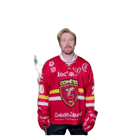 Hockey Kiss Sticker by meudonhockeyclub