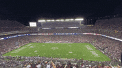Texas Am Win GIF by Texas A&M University