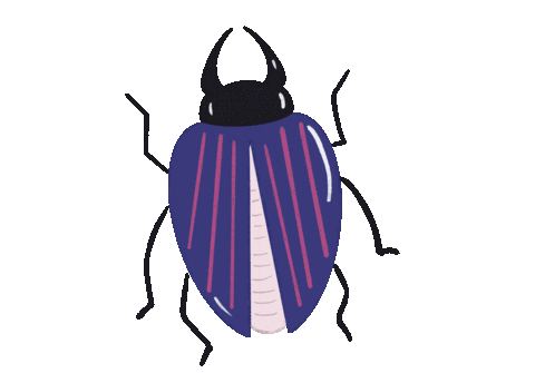 Insect Beetle Sticker