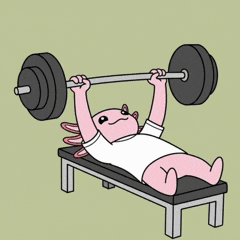Pump It Gym GIF