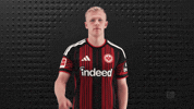 Eintracht Frankfurt Yes GIF by Bundesliga