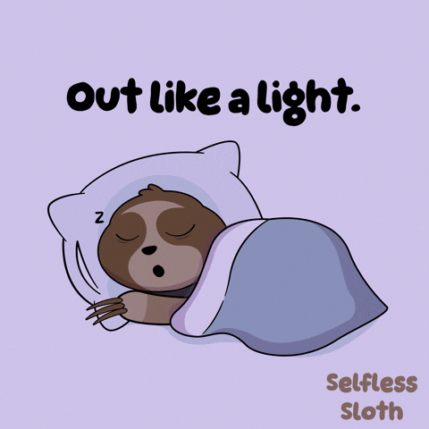 Lights Out Sloth GIF by VeeFriends