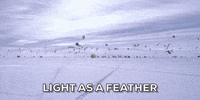 race feather GIF by Red Bull