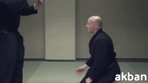 martial art ninjutsu GIF by AKBAN Academy