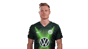 Lets Go Soccer Sticker by VfL Wolfsburg