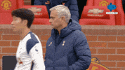 Spurs Tottenham GIF by MolaTV