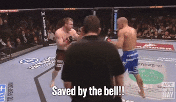 Saved By The Bell Fight GIF by Georges St-Pierre
