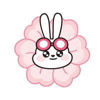 꽃 GIF by kb.financialgroup