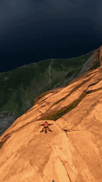 Cat Flying GIF