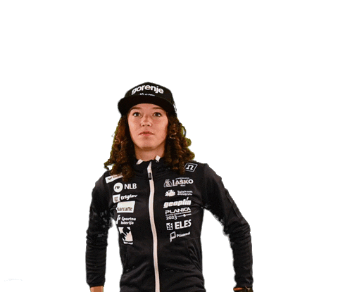 Nordic Combined Sticker by SloSki