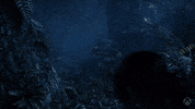 Scared Forest GIF by Xbox