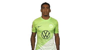 Vfl Wolfsburg Sticker by Bundesliga