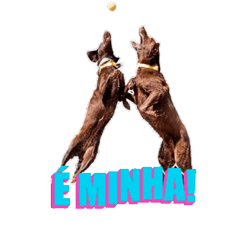 Bull Bali Sticker by Bono Surf Dog