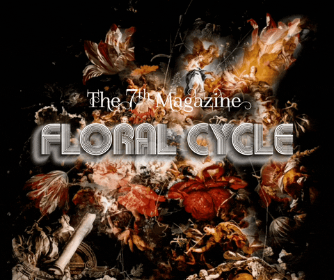 The7thMagazine giphyupload GIF