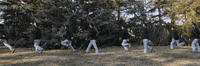 art loop GIF by Erdal Inci