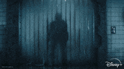 Star Wars Disney Plus GIF by Disney+