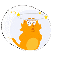 Spitogatos_gr confused confused cat spitogatos Sticker