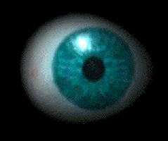 eyeball GIF