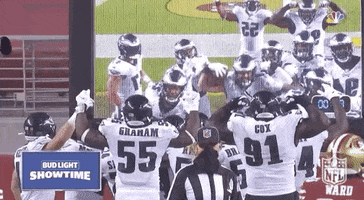 Regular Season Football GIF by NFL