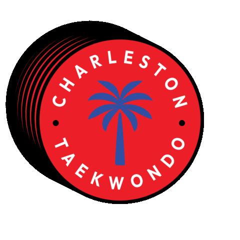 CharlestonTaekwondo giphygifmaker taekwondo charleston charlestontaekwondo Sticker