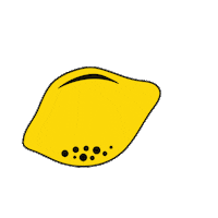 Lemon Gin Sticker by romeosgin