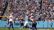 Football Celebration GIF by New England Patriots