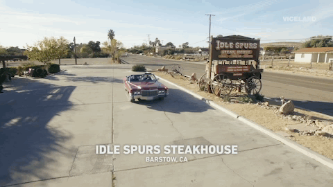 viceland GIF by Dead Set on Life