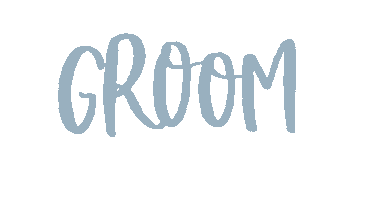 Wife Groom Sticker by TLC