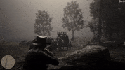 red dead redemption 2 gameplay GIF by Press Start Australia
