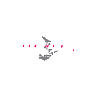 theprojectthree ppf p3 tint tinted Sticker