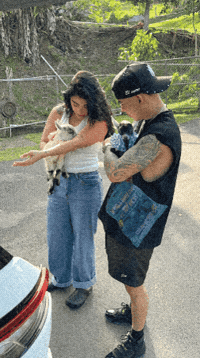 Danilexis GIF