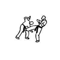 FSAKM instagram kravmaga mestre kobi Sticker