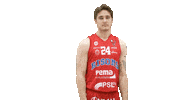 Sport Basketball Sticker by Basket_fi